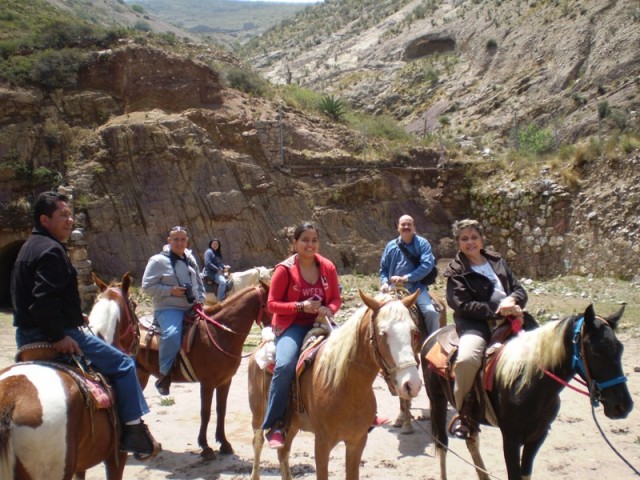 caballos2 copia