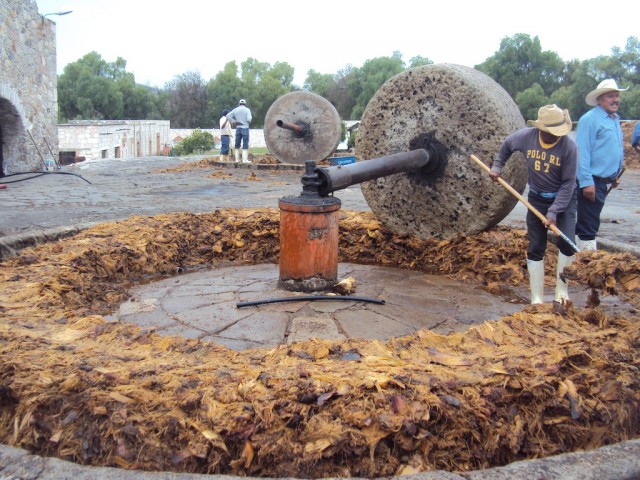 mezcal1 copia